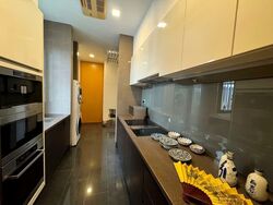 Belle Vue Residences (D9), Condominium #597745071